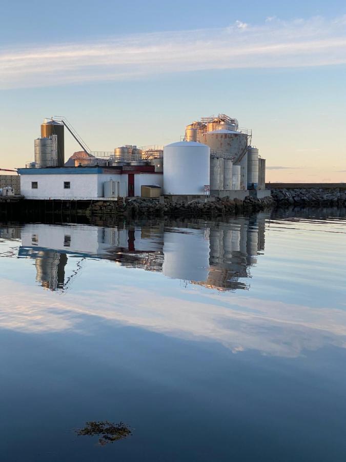 Nordlandshuset "Lottebakken", Ballstad In Lofoten Bagian luar foto