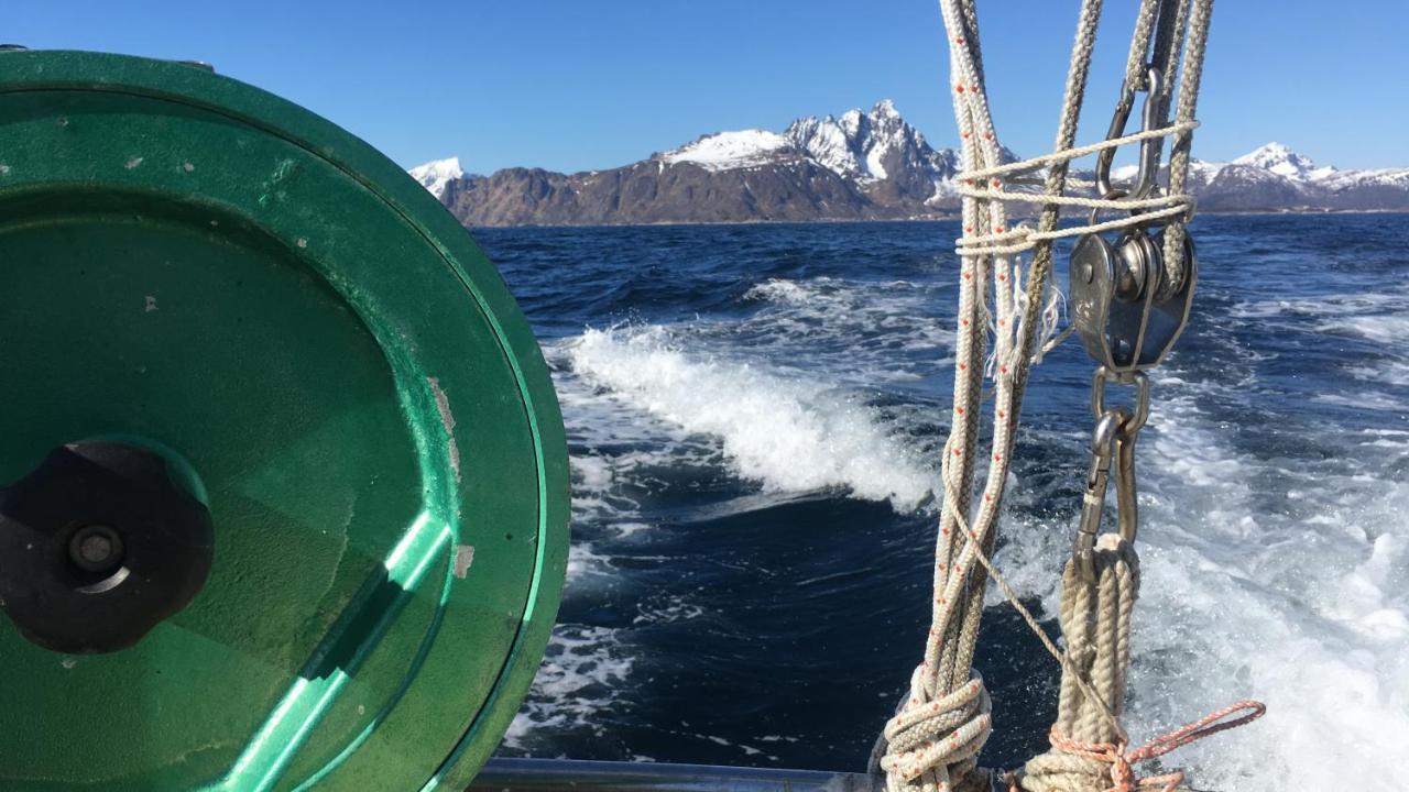 Nordlandshuset "Lottebakken", Ballstad In Lofoten Bagian luar foto