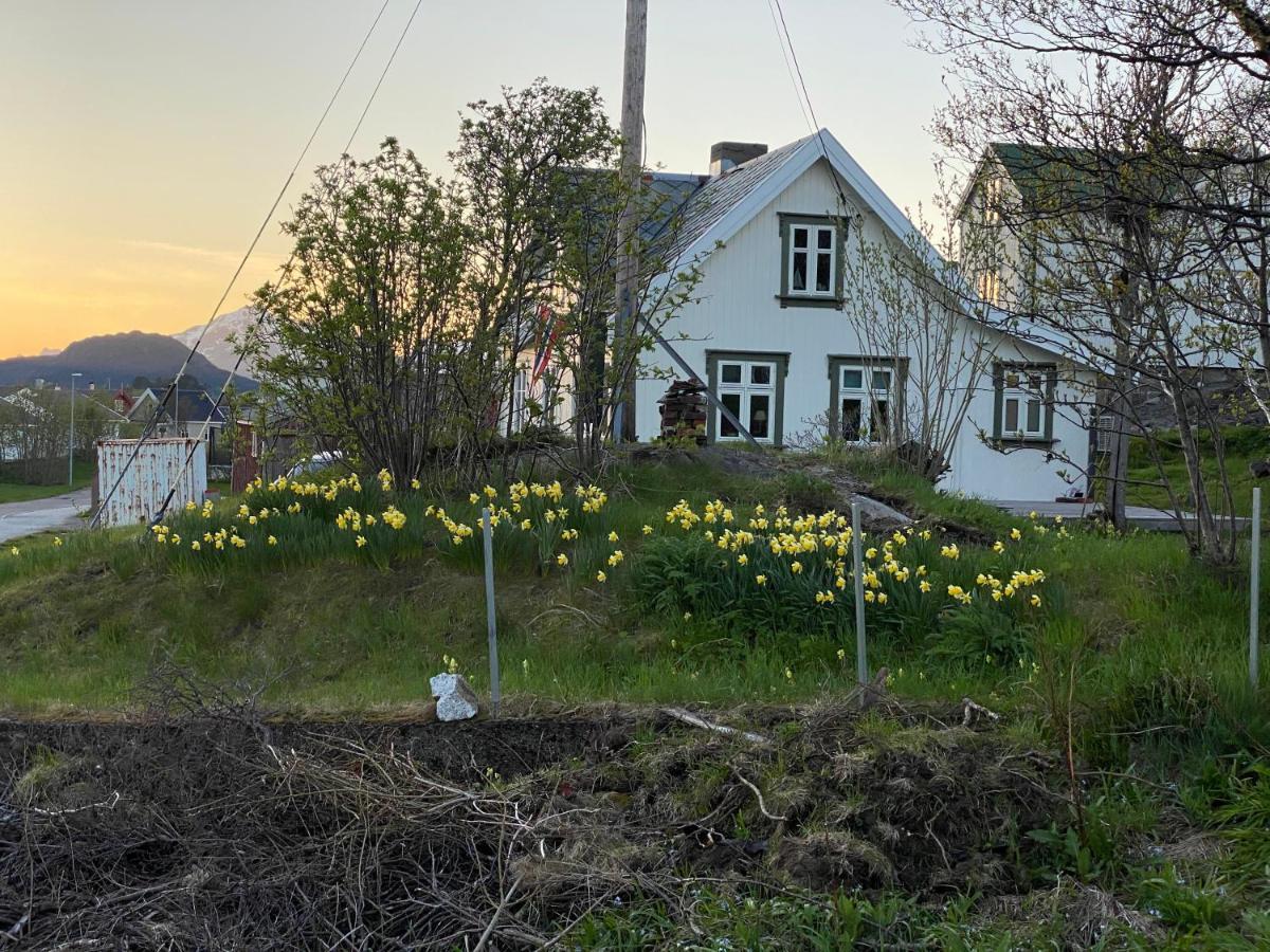 Nordlandshuset "Lottebakken", Ballstad In Lofoten Bagian luar foto